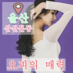 삼산본동오피